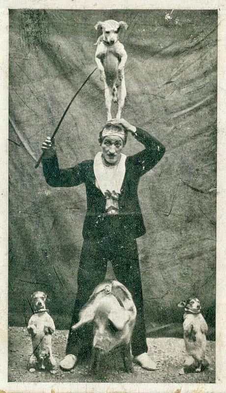 Afbeelding