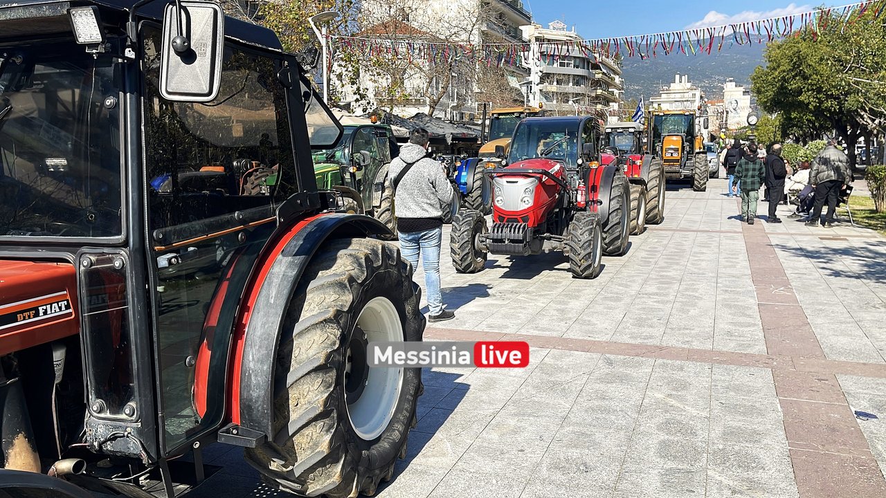 agrotes-IMG-9607