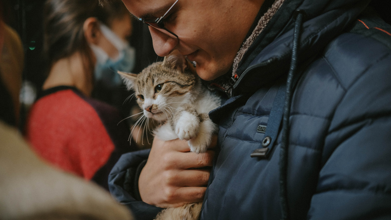 BA1CA2BE-EA2C-4F0A-9CCF-B0635D24B086