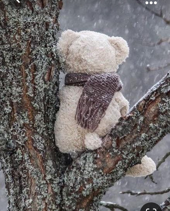 Screenshot_20231006_221638_Pinterest