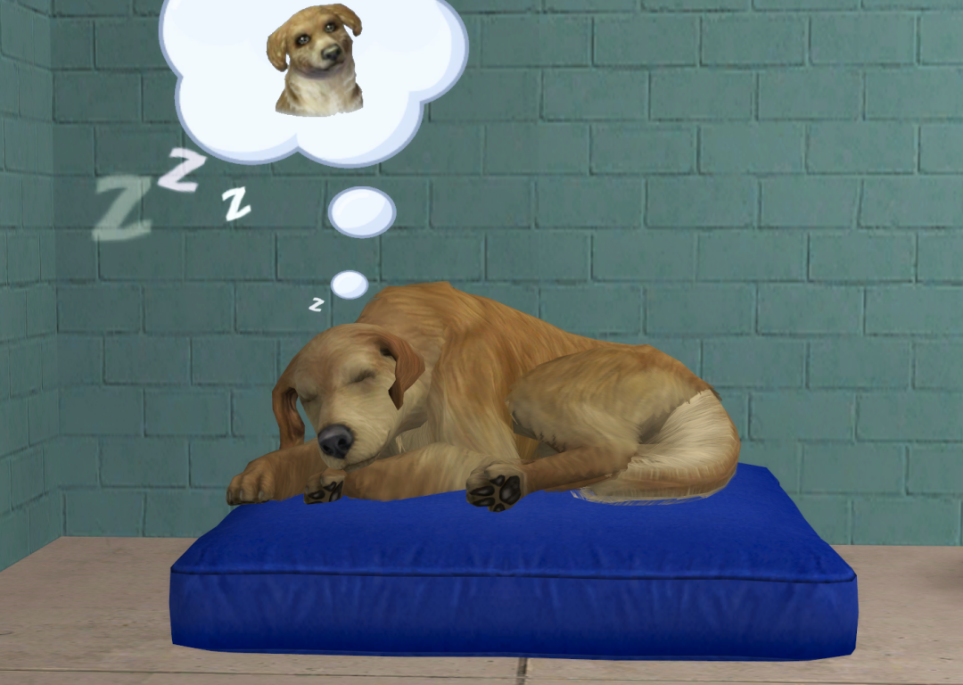 Sims2-EP9-RPC-2022-09-03-19-50-31-59