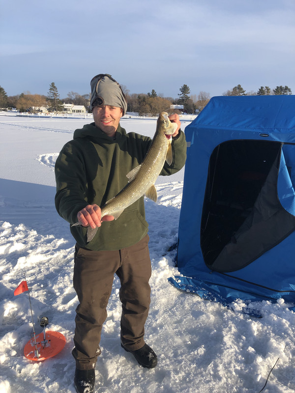 whitefish 003