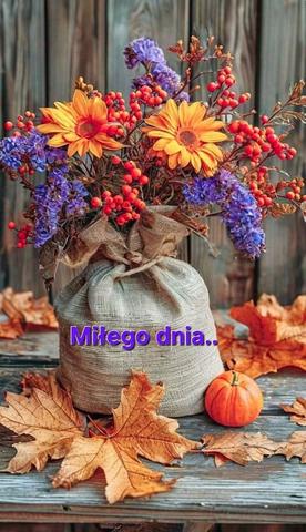 https://i.postimg.cc/mg8jL704/843976386-39881203131462923-314583282819959820-n.jpg
