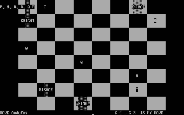 chess_020