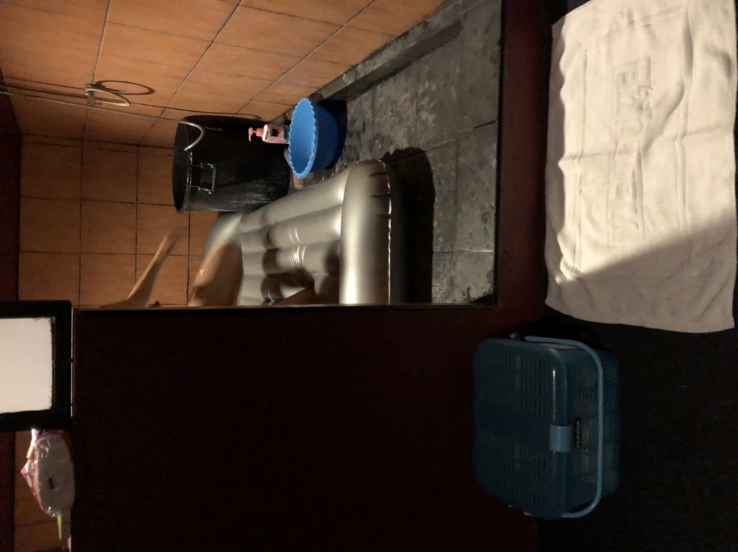 516547C2-307B-4734-B20F-23469583FEF5