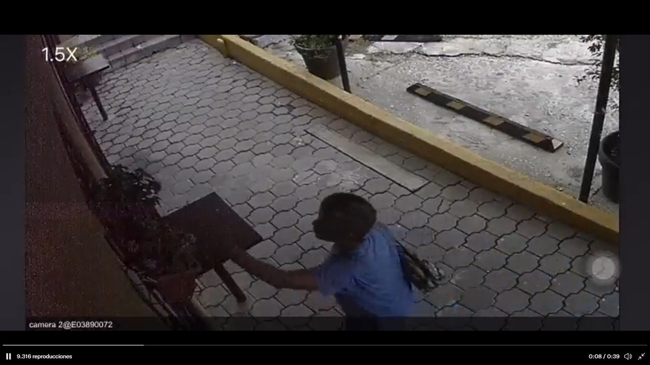 Aparece “Lady Rata de Flores”, se las lleva si alguna le gusta