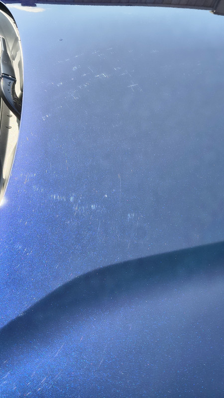 Honda-ENY1-Bonnet-Marked1.jpg