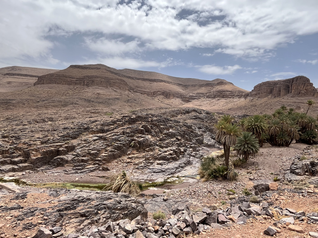 Los Oasis de Fint y de Tiguirt - El Valle del Drâa, la gran arteria del sur de Marruecos (12)