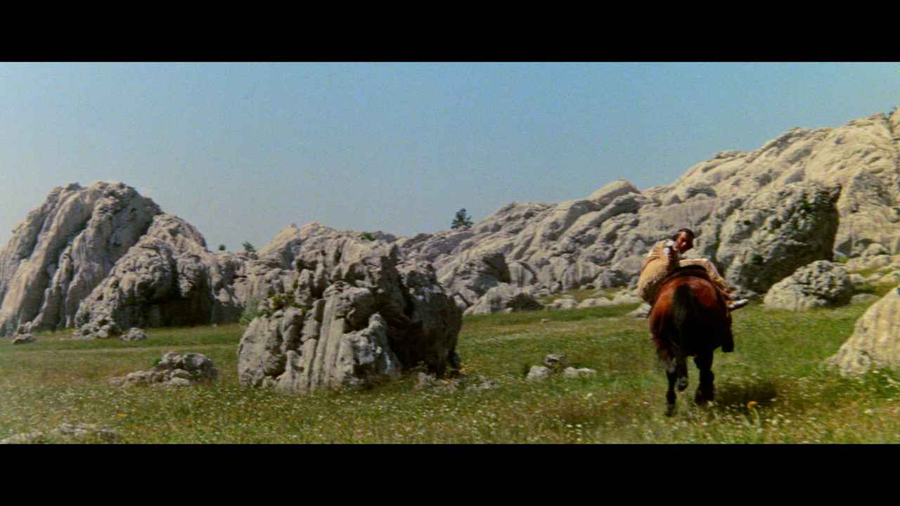 00003.mpls_snapshot_00.49.37_[2024.12.17_17.09.24]