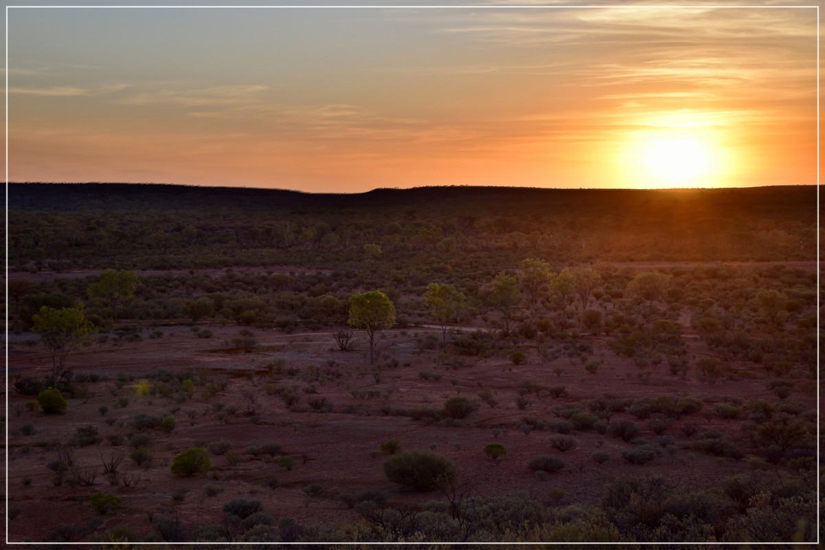 Red Center - Australia (I): toma de contacto (28)