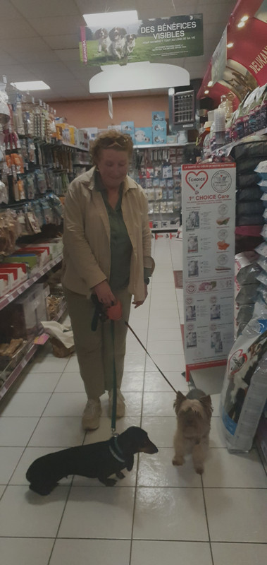 [Image: 20221022-165207.jpg]