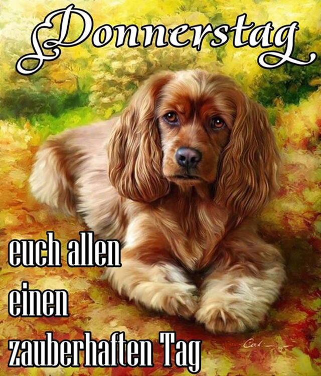 An den Beitrag angehängtes Bild: https://i.postimg.cc/mg9RJwKv/oie-1812146-QEht8-QPP.jpg