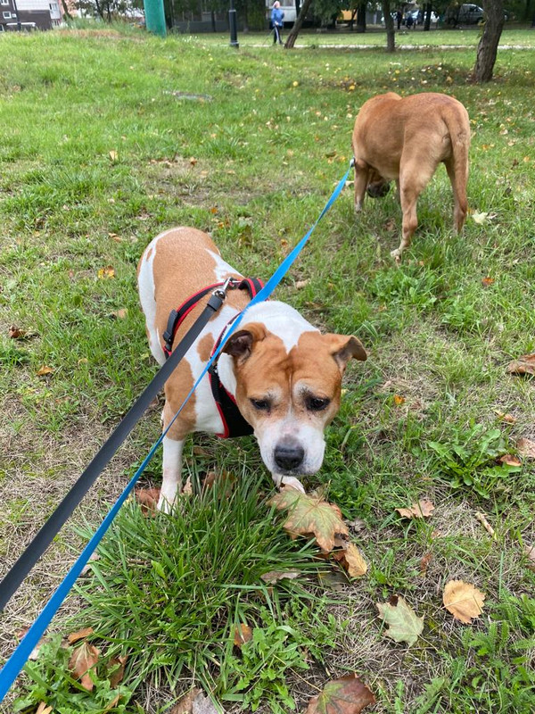 17A6BAB3-9367-4923-8C6E-84E1307D0715