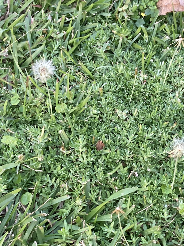 D839B44A-6EF4-4C41-B3A7-1334D992378D