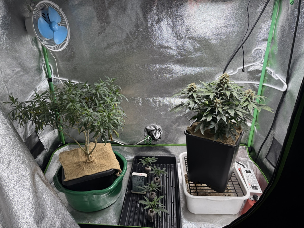 90ED05DB-E0EA-47D7-8F9C-23C1A62DE4EE