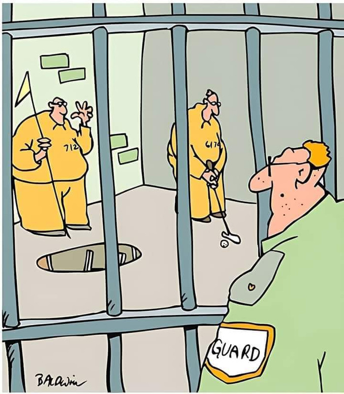 FB_IMG_1731598317340