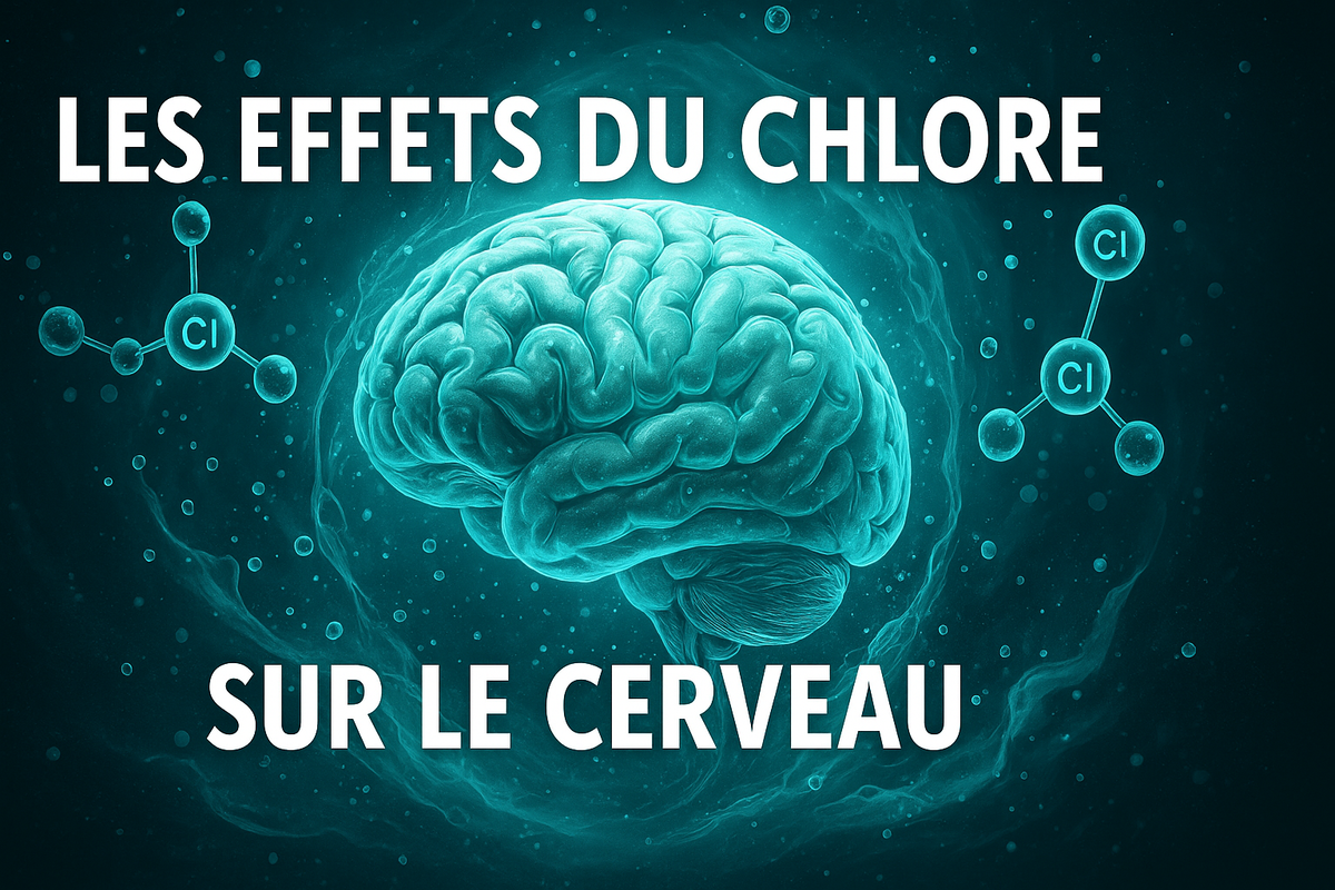 Bannière : cerveau et bulles, bleu-vert