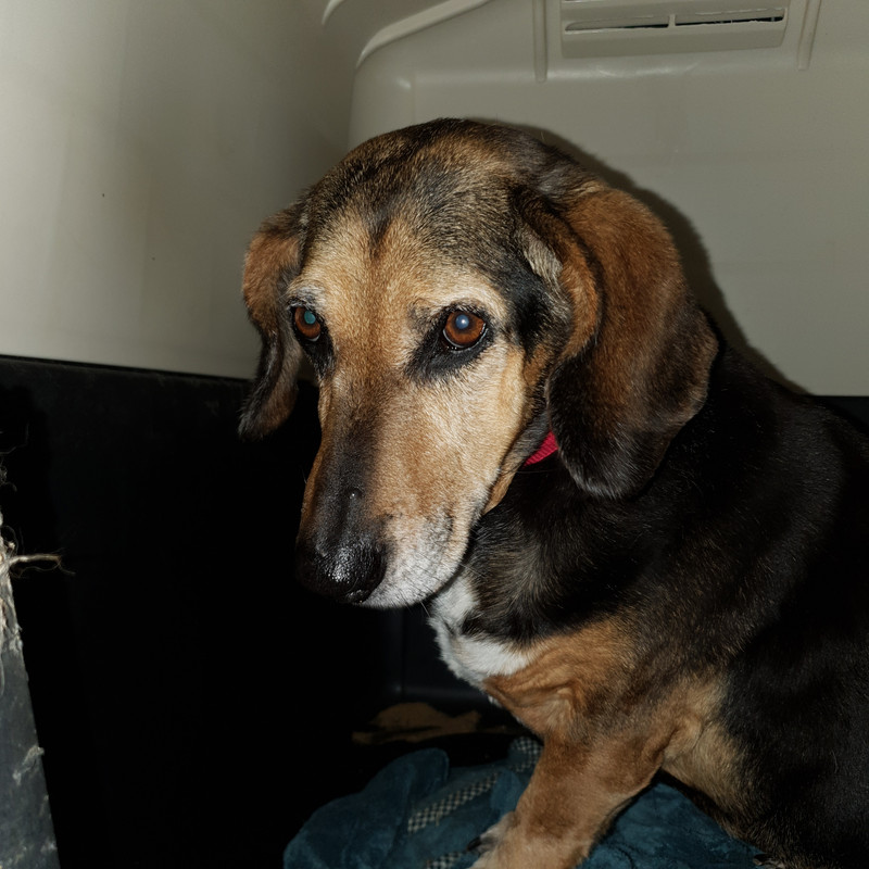 [Image: 20210506-162625.jpg]