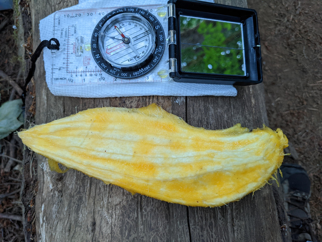 PXL_20220722_033553945.NIGHT