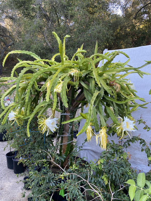 B8C8078F-215B-4B74-A728-DDA83F0F66D7