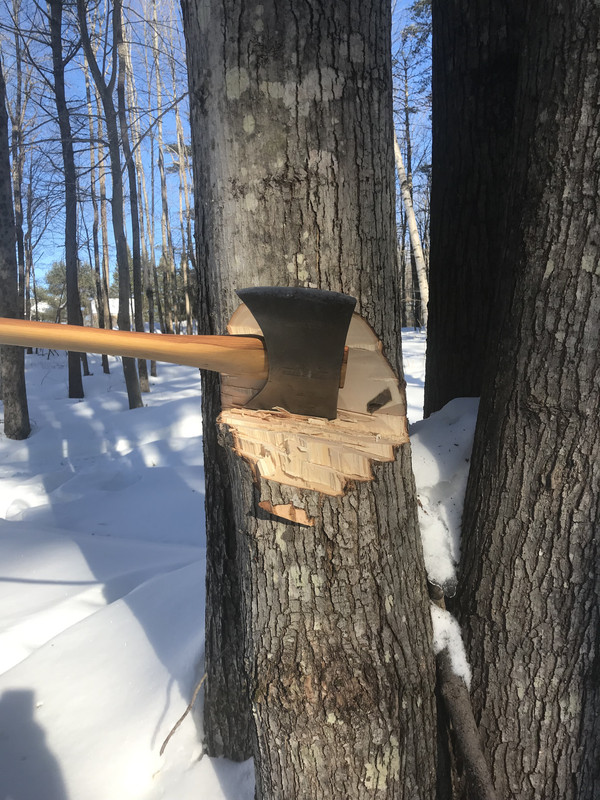 7FBC16B4-C6F5-4E0E-8891-919CB4EA6ED0