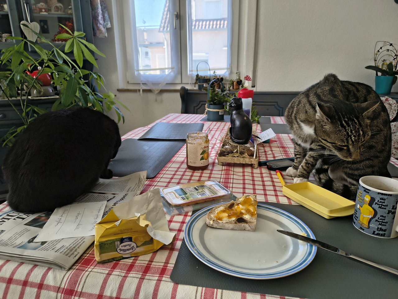 IMG 20260925 104505307 HDR