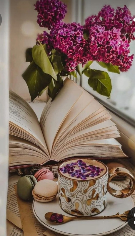 Screenshot_20230219_201602_Pinterest