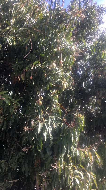 1B3BF8CA-4FE0-4D8D-8B7A-6CA16A622EEB