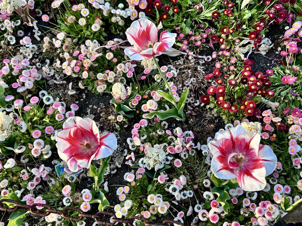 Пёстрая лента. Путешествие по сельским дорогам Англии в мае 2025 г.