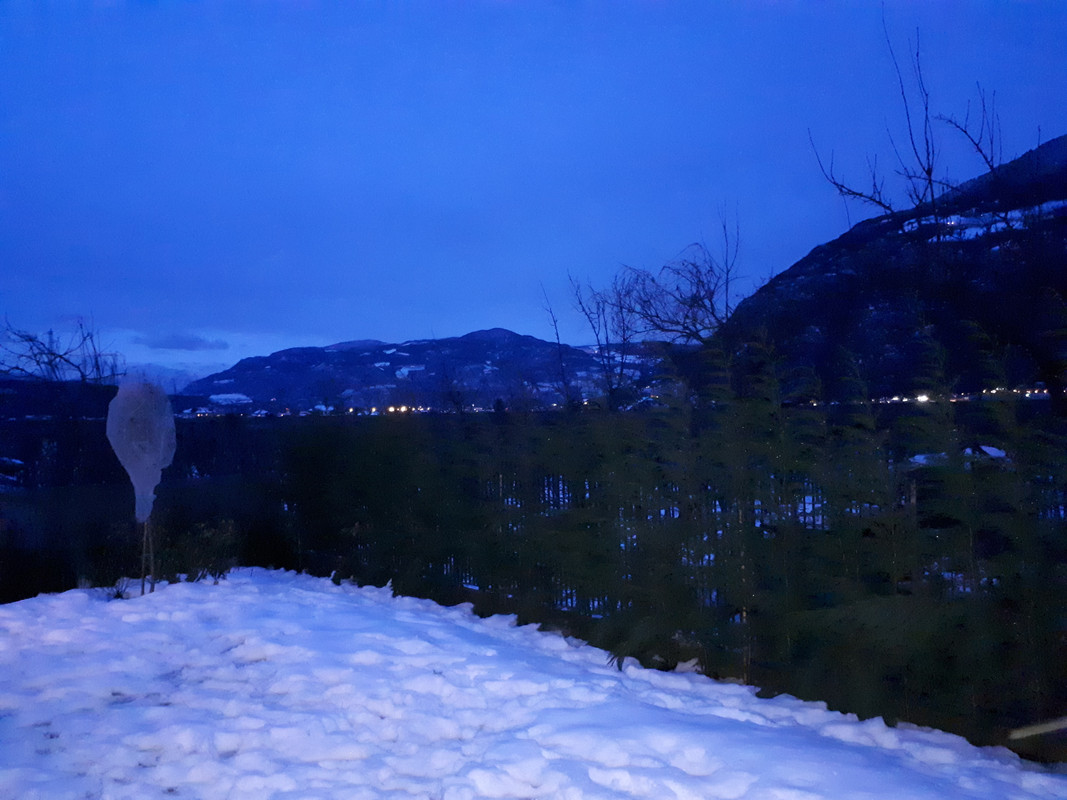 20190203_174739