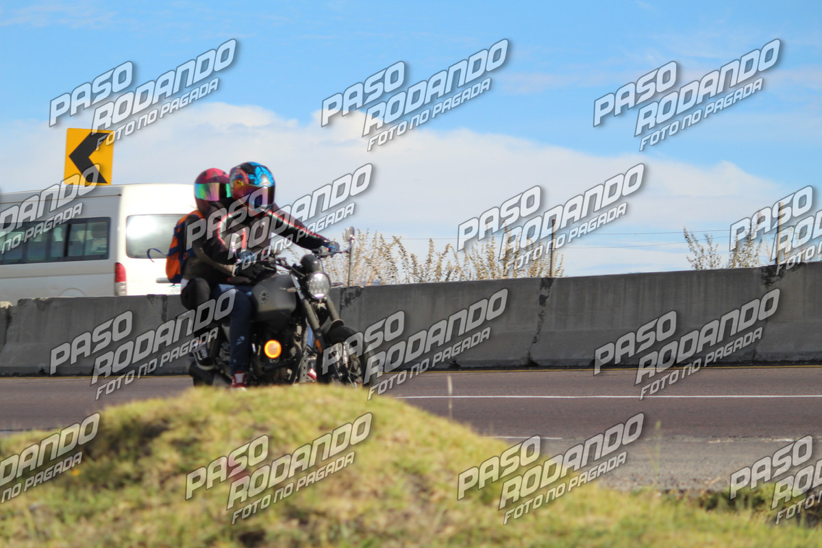 IMG 6541 wm 9046770 6 watermarked — Postimages