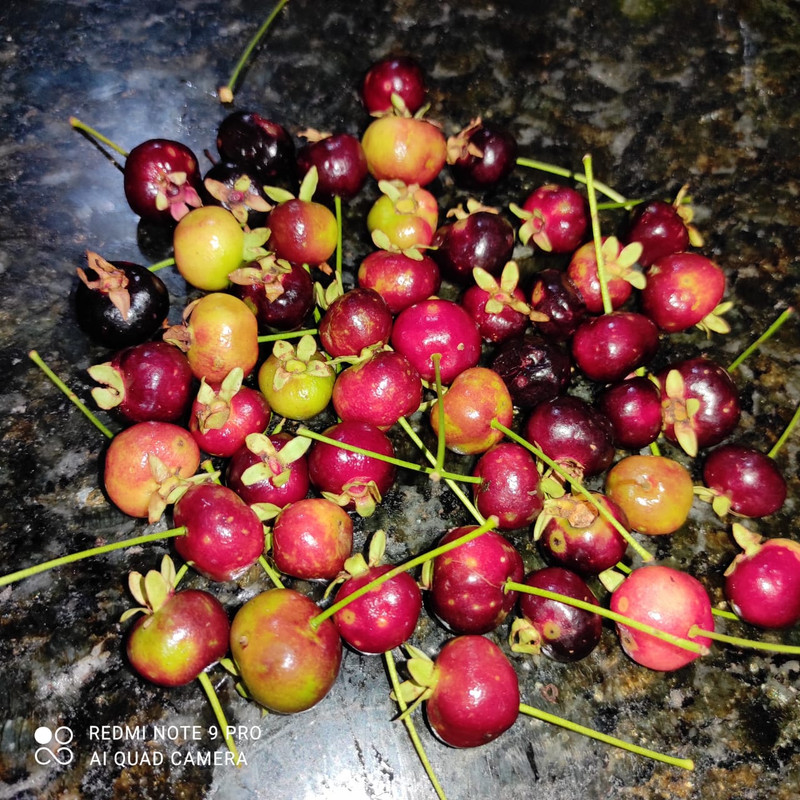 WhatsApp Image 2020-12-20 at 13.41.20 (13)