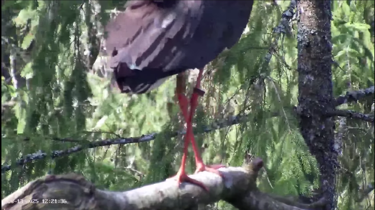 Ekrānuzņēmums 2025-05-13 131925