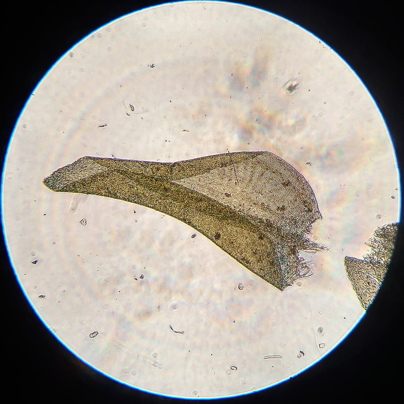 IMG 20250616 220820 HDR