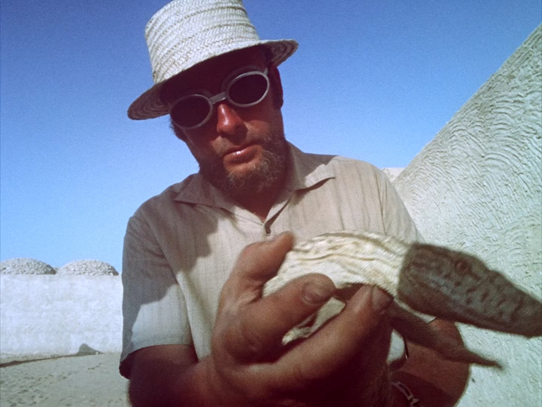 Fata Morgana 1971 WHC (1080p x265 10bit Tigole).