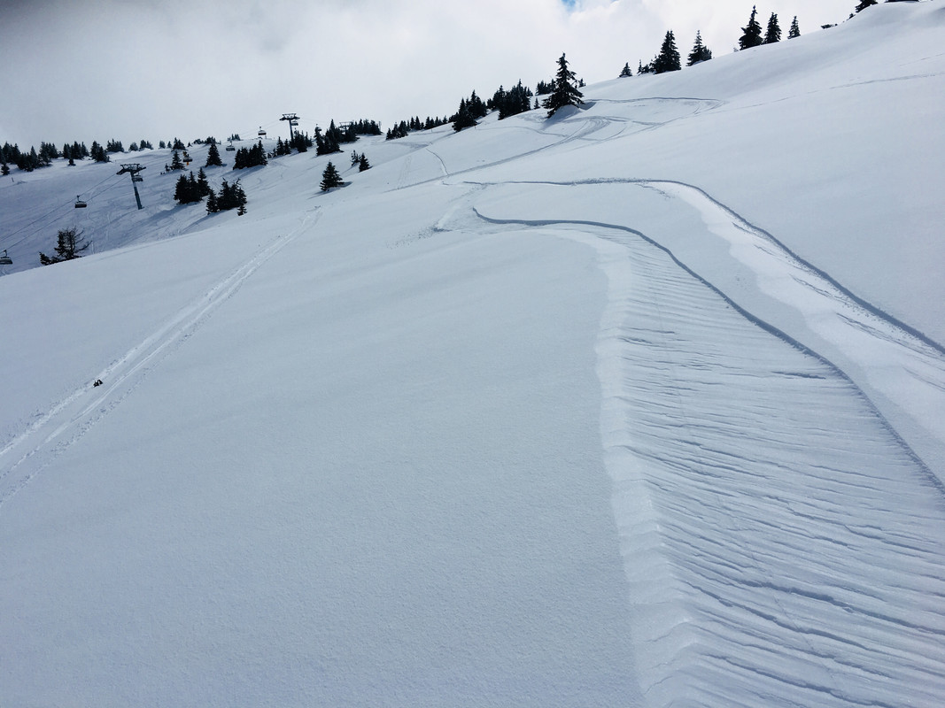 D0F02797-A1BF-4880-9F9B-C35F155B148F