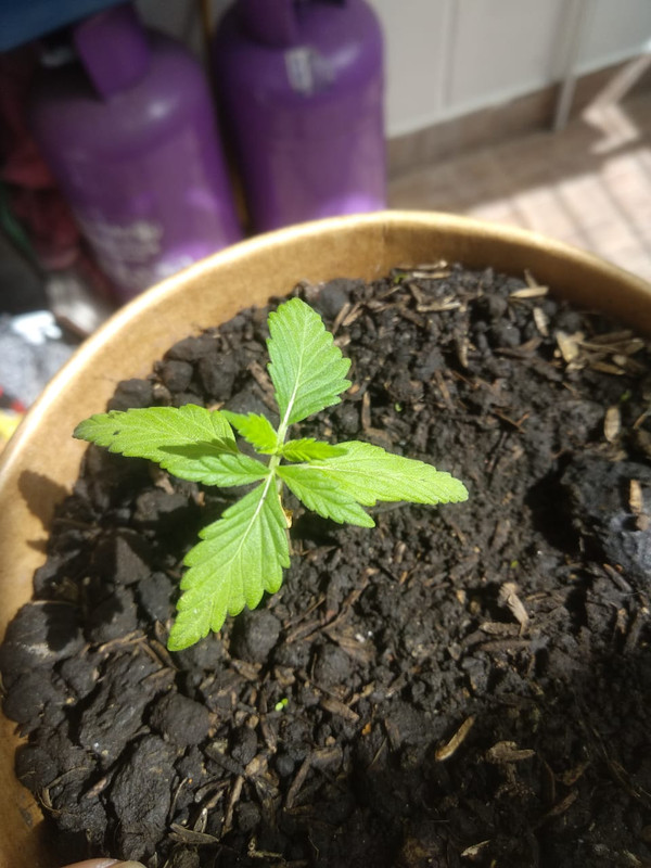 WhatsApp Image 2021-06-09 at 2.06.43 PM