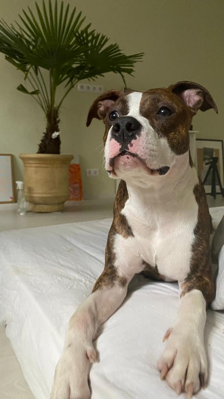 5FDE7803-88E5-40DA-879A-636C0EF63FF4