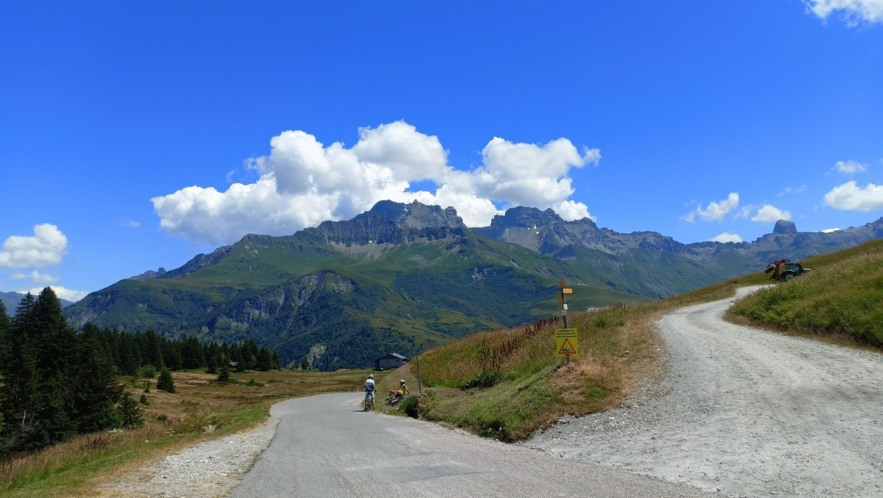 IMG20250712142604 (Large)