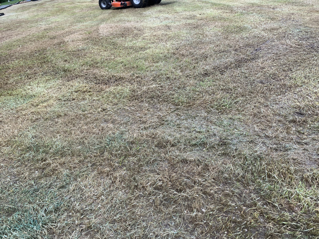 4932615C-C91A-43DF-AED5-A845A40ABABA