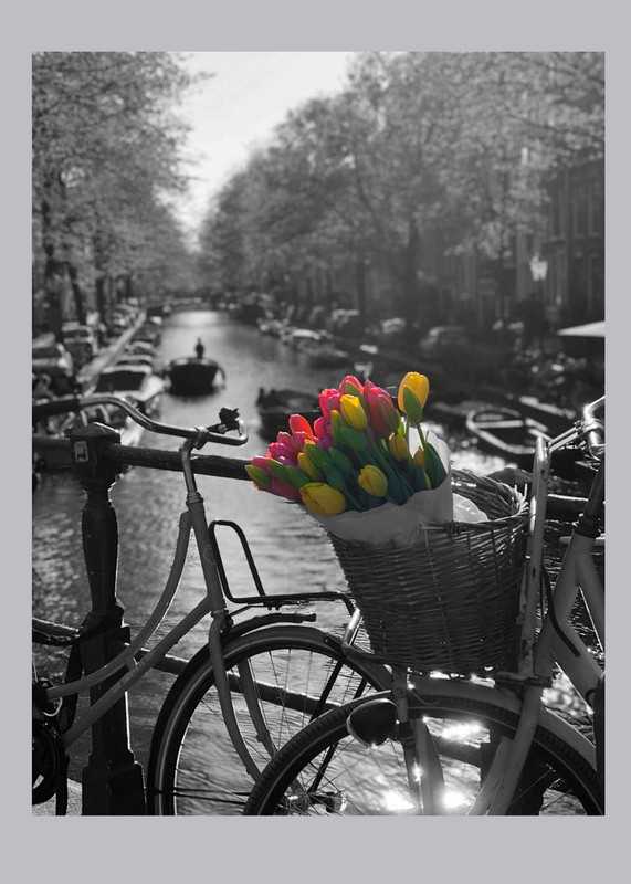 Fotografie