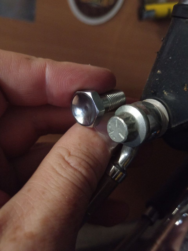 photo_5213268752160907513_y (1)