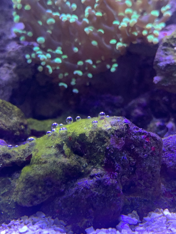 C411F95A-2617-4F95-AB9D-C148080DDA6D