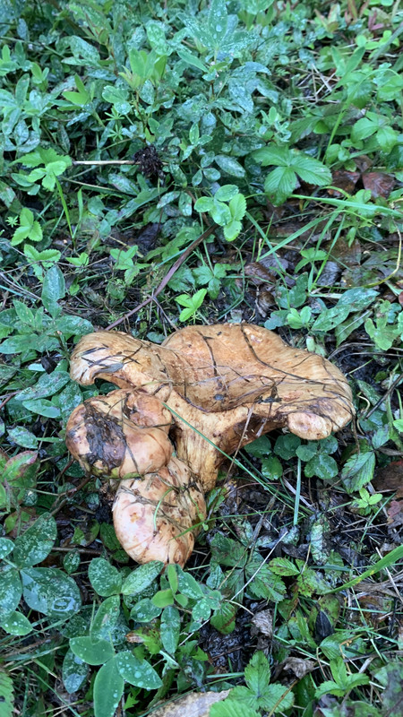 0546A48B-EB94-4523-96ED-2A62AC36A8BF