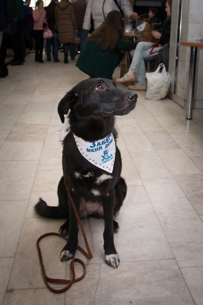 294D8B4B-87A4-47D1-A87D-FDCDBFCCF1FE