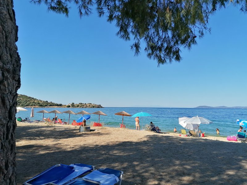 Slika