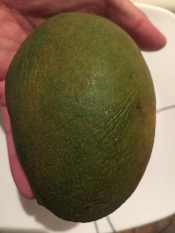 942AE87D-CEEB-4783-821F-20F179507CAB