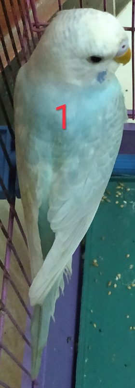 IMG_٢?١٨١??٦_١??٢٤?