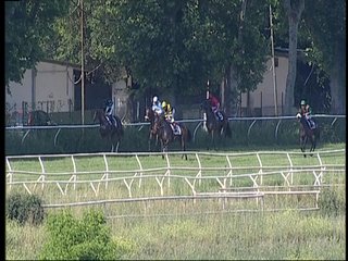 Napoli-120230523-172145.jpg