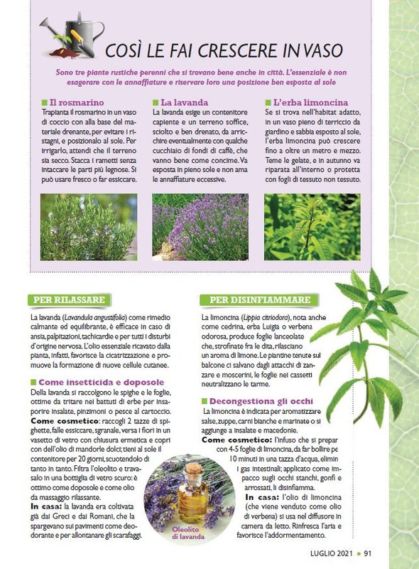 Sal Nat Lug 2021 (12)